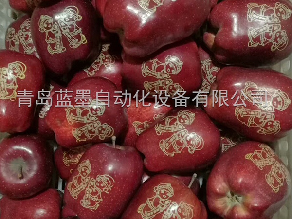 上海苹果印字机