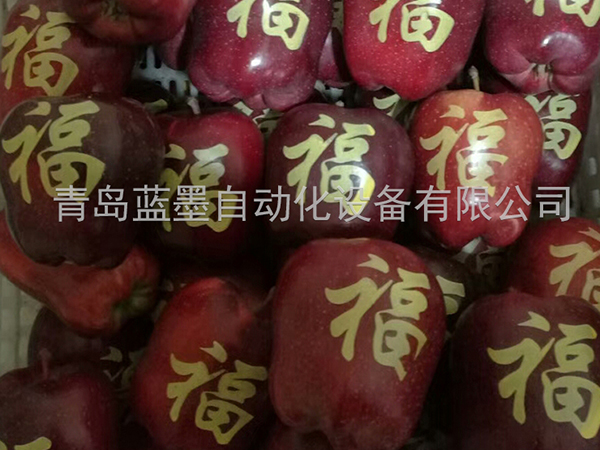 四川苹果印字油墨