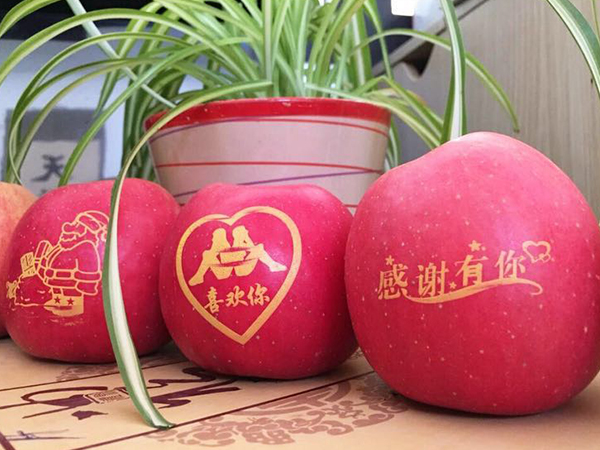上海苹果印字油墨